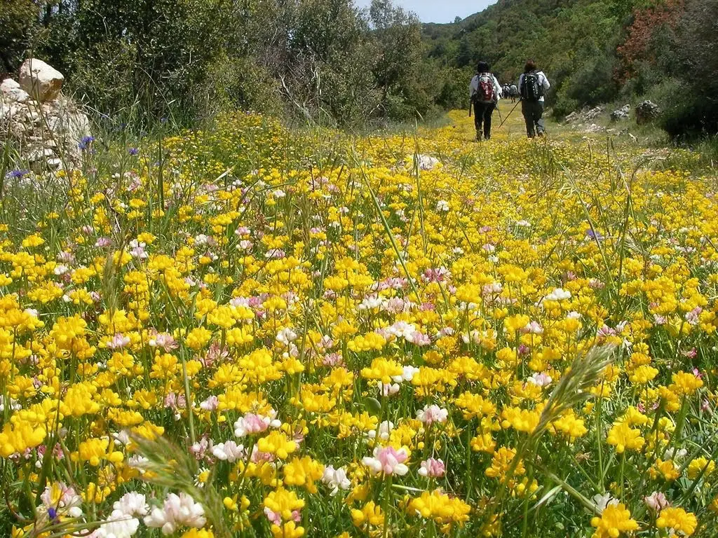 Hiking Kalkan